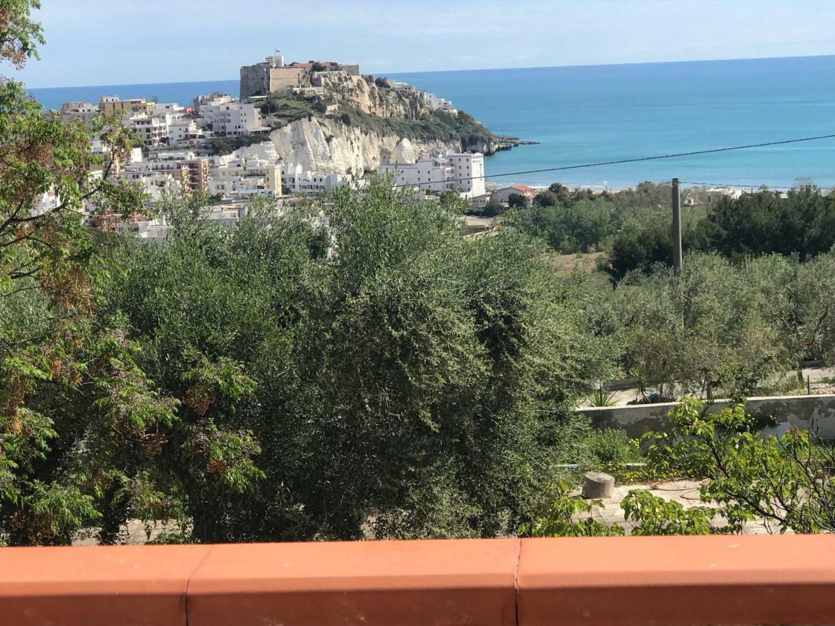 Appartamenti Santa Margherita Vieste Zewnętrze zdjęcie